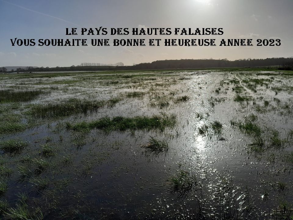 Du Pays Des Hautes Falaises - Année 2023